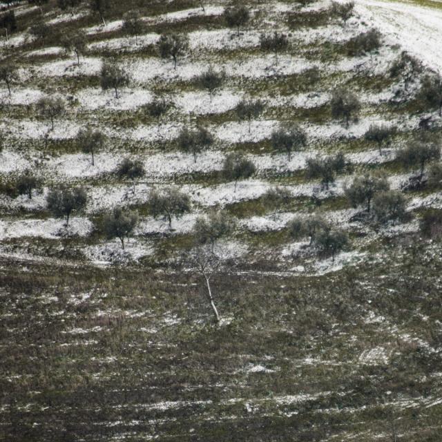 A snowfall (08)